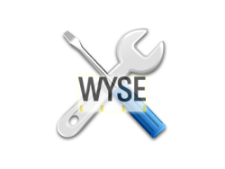 Wyse Monochrome Terminal Repair